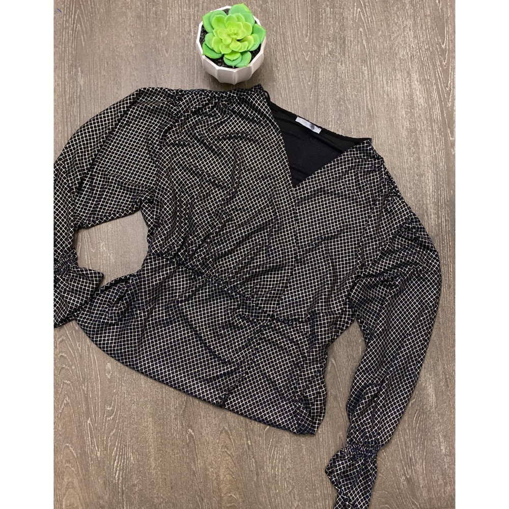 Zara W/B Collection Organza Top